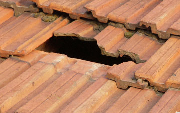 roof repair Broadhempston, Devon